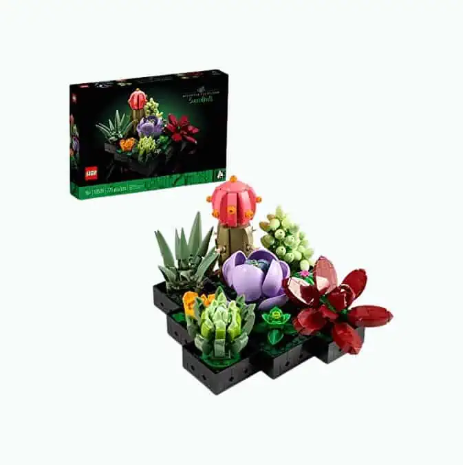 Product Image of the Lego Succulents Building Set