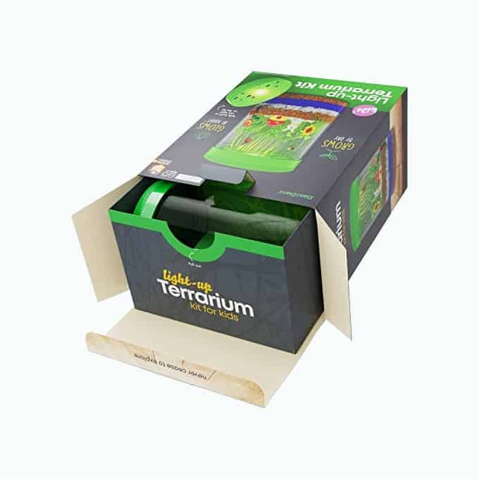 Product Image of the Light-Up Terrarium Kit for Kids