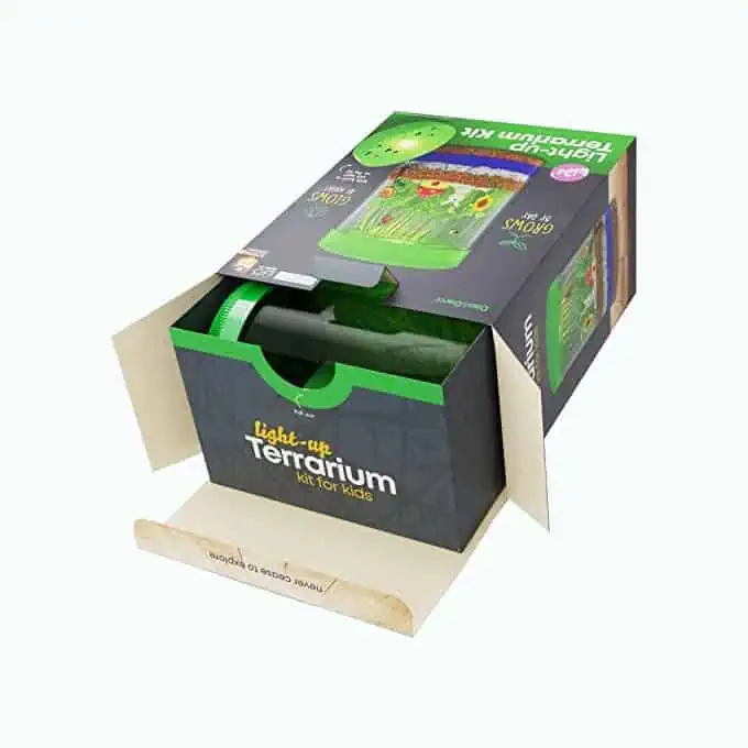 Product Image of the Light-Up Terrarium Kit 