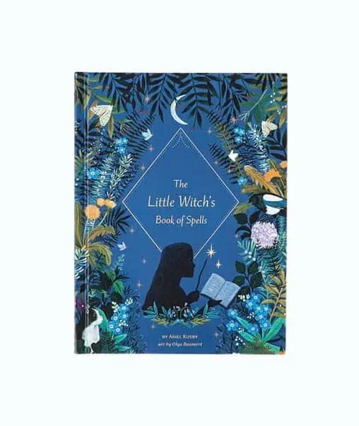 Product Image of the Little Witches Book