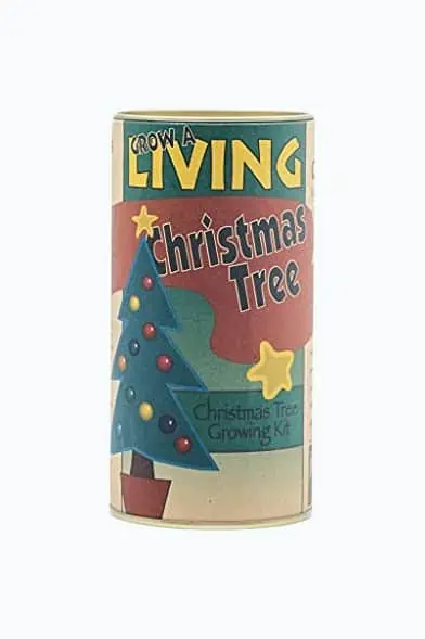 Product Image of the Living Christmas Tree DIY Kit