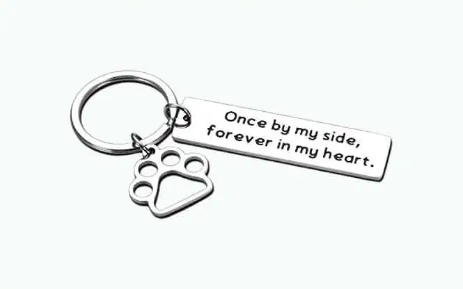 Product Image of the Loss of Pet Gifts Memorial Keychain