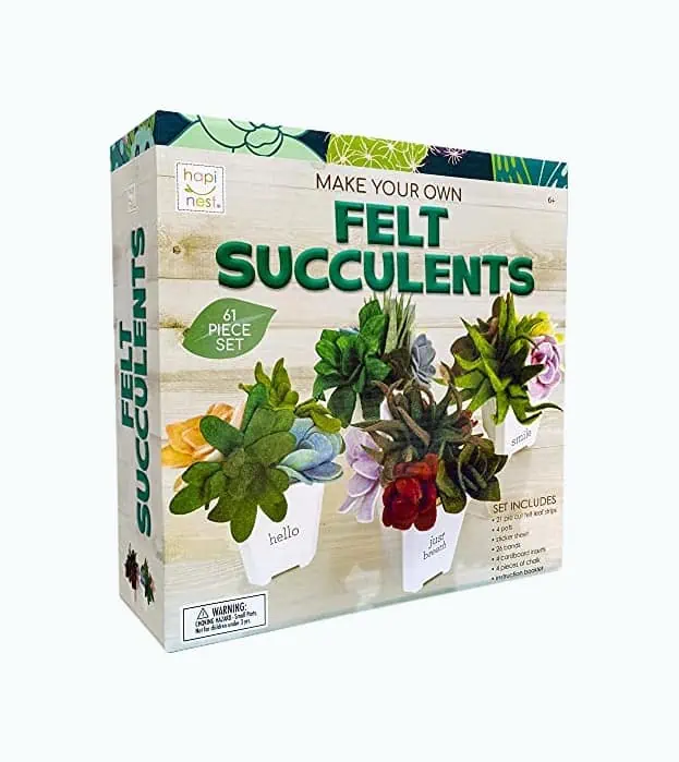 Product Image of the Make Your Own Potted Felt Succulents