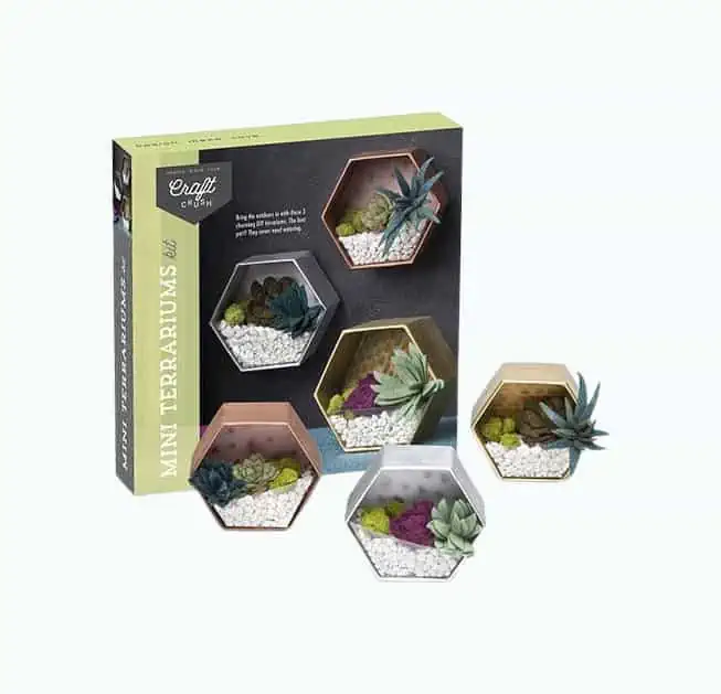 Product Image of the Mini Terrarium DIY Kit