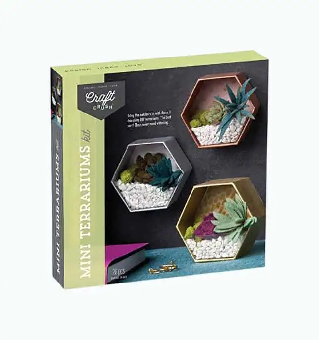 Product Image of the Mini Terrariums Gift Box