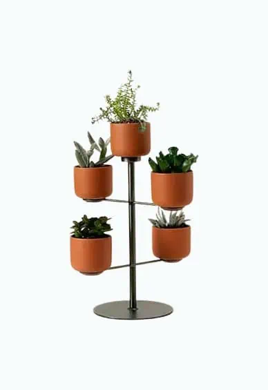 Product Image of the Modern Desktop Terracotta Planters
