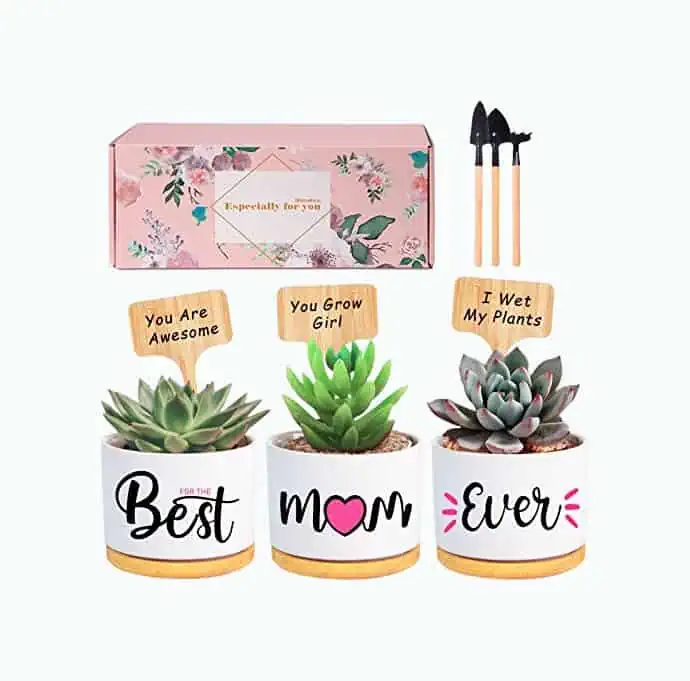 Product Image of the Mom Planter Pot Set