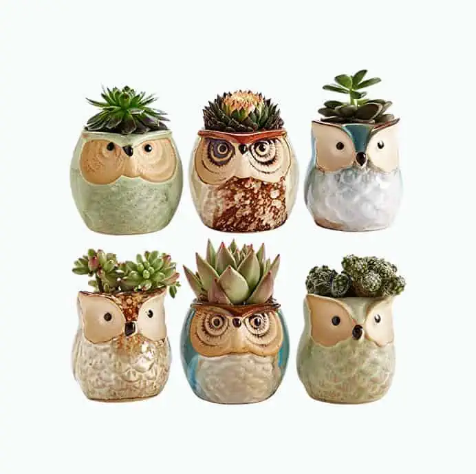 Product Image of the Owl Ceramic Plant Pot Set