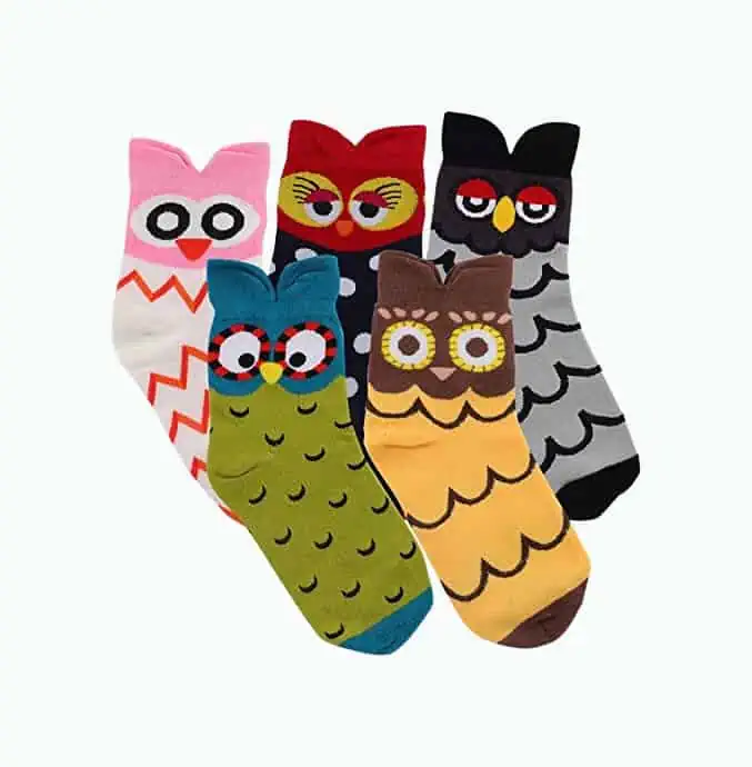 Product Image of the Owl Novelty Socks