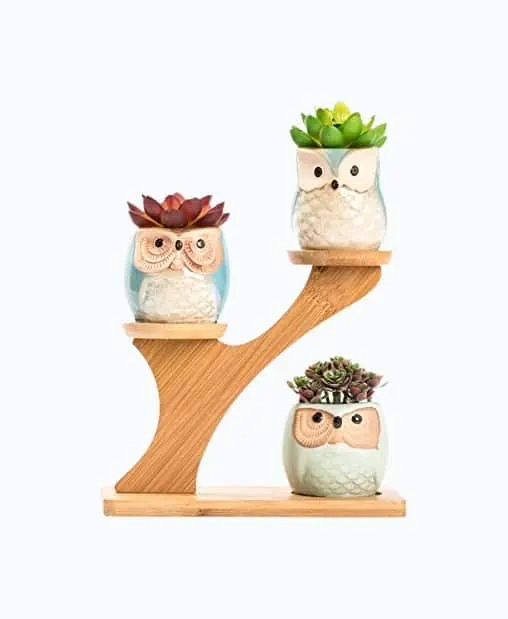 Product Image of the Owl Succulent Pots