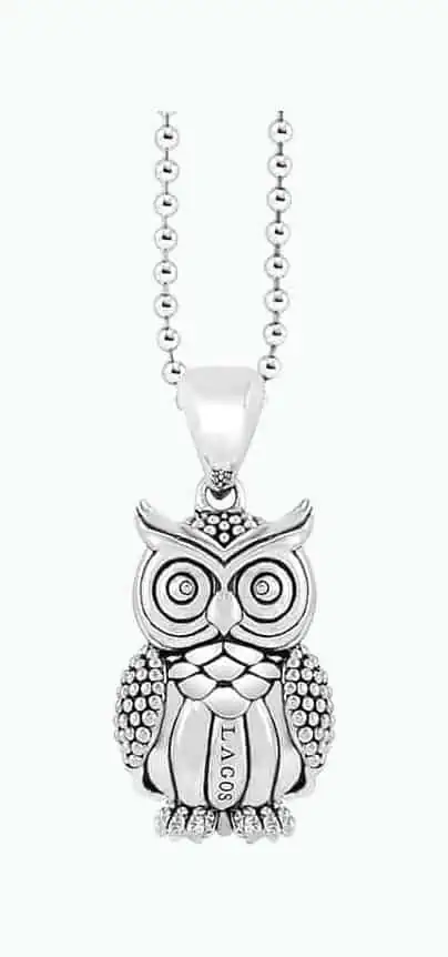 Product Image of the Owl Talisman Necklace