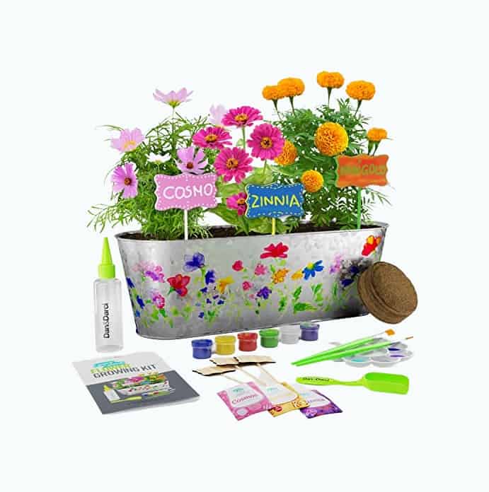 Product Image of the Paint & Plant Flower Growing Kit