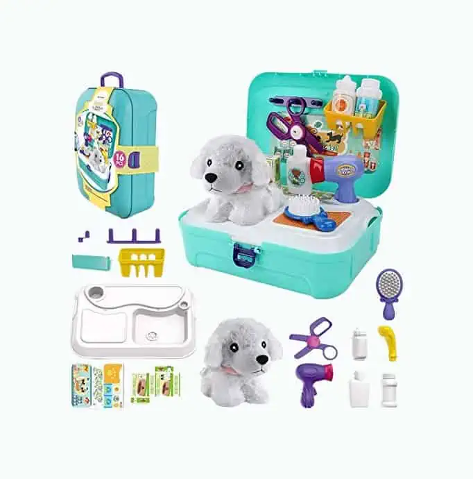 Product Image of the Pet Care Play Set
