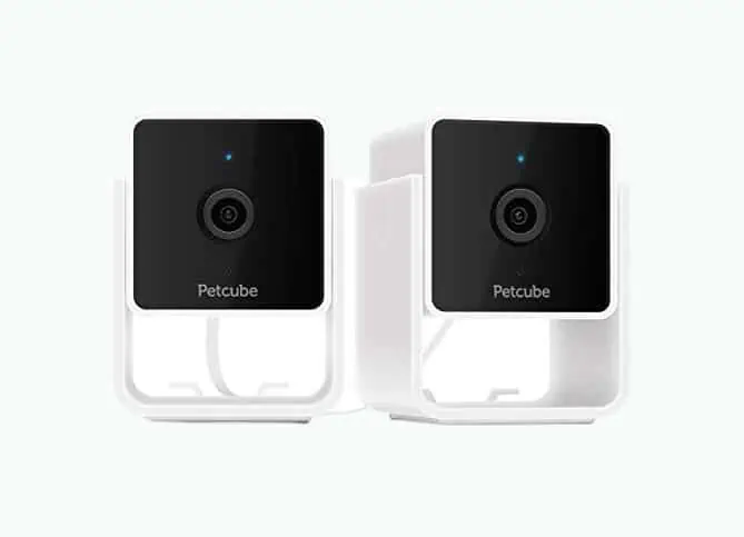 Product Image of the Pet Monitoring Camera