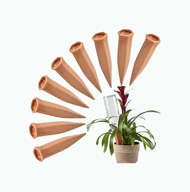 Product Image of the Plant Watering Stakes 10 Pack