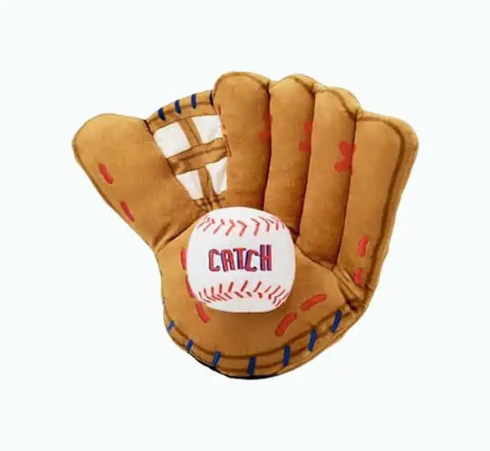 Product Image of the Play Catch Dog Toy