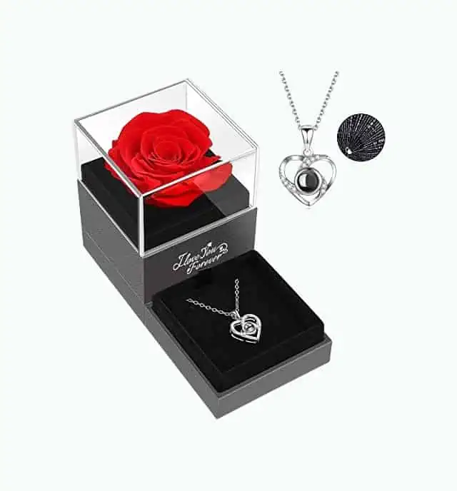 Product Image of the Preserved Rose With Necklace