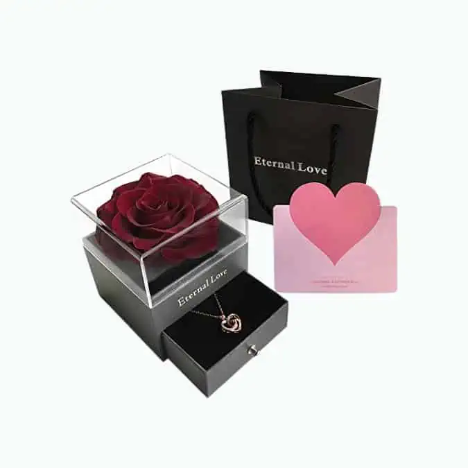 Product Image of the Preserved Rose & Necklace Set