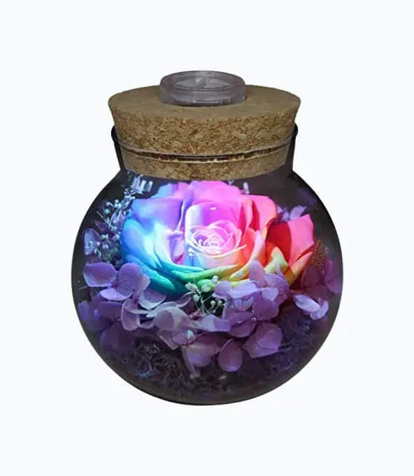 Product Image of the Preserved Roses Mood Light