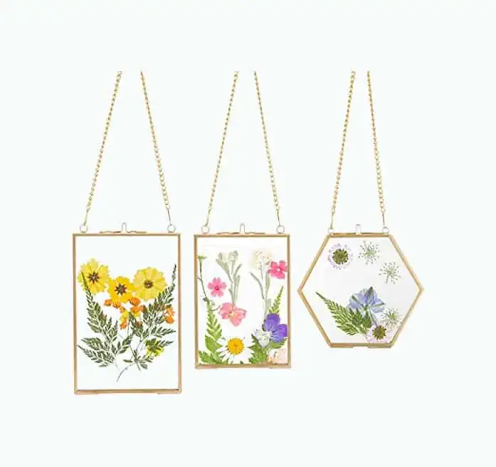 Product Image of the Pressed Flowers In Glass Frames