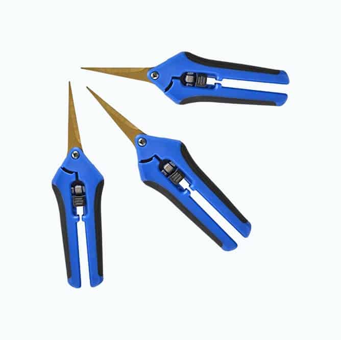 Product Image of the Pruning Shears with Curved Precision Blades