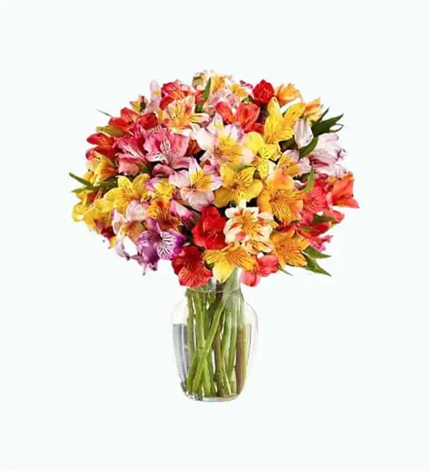 Product Image of the Rainbow Fields Multicolored Alstroemeria Bouquet
