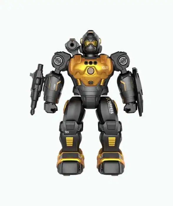 Product Image of the Remote Control Robot Toy