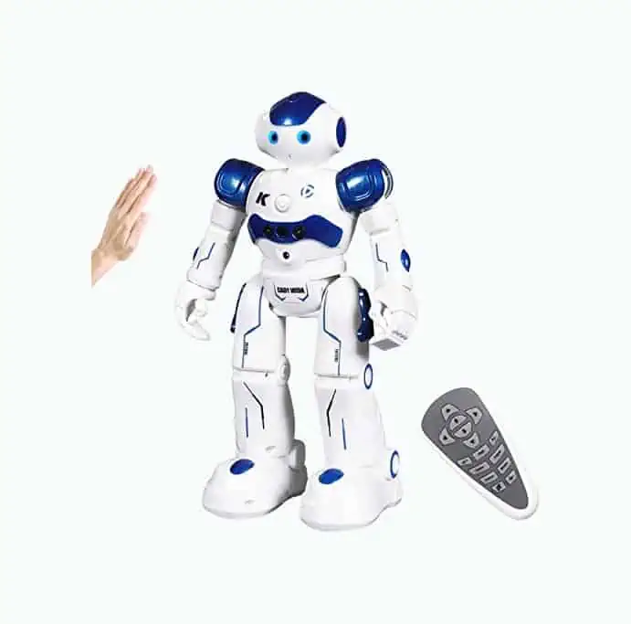 Product Image of the Robot Toy