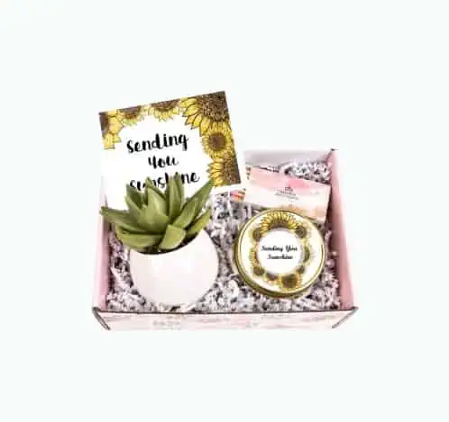 Product Image of the Sending You Sunshine Succulent Gift Box