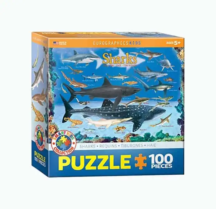 Product Image of the Sharks 100 Piece Jigsaw Puzzle