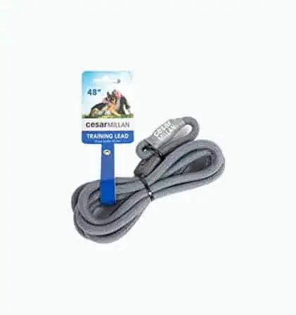 Product Image of the Slip Lead Dog Leash