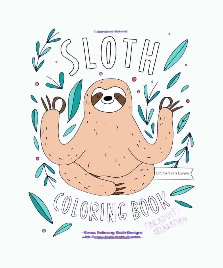 Product Image of the Sloth Coloring Book