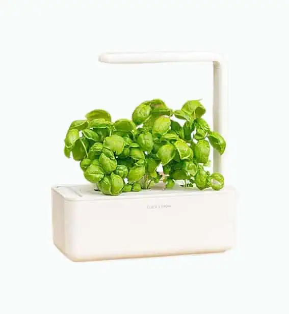 Product Image of the Smart Garden Grow Kit