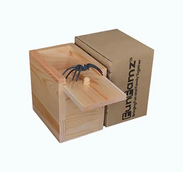 Product Image of the Spider Prank Box