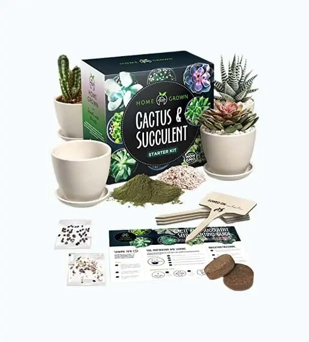 Product Image of the Succulent & Cactus Seed Kit