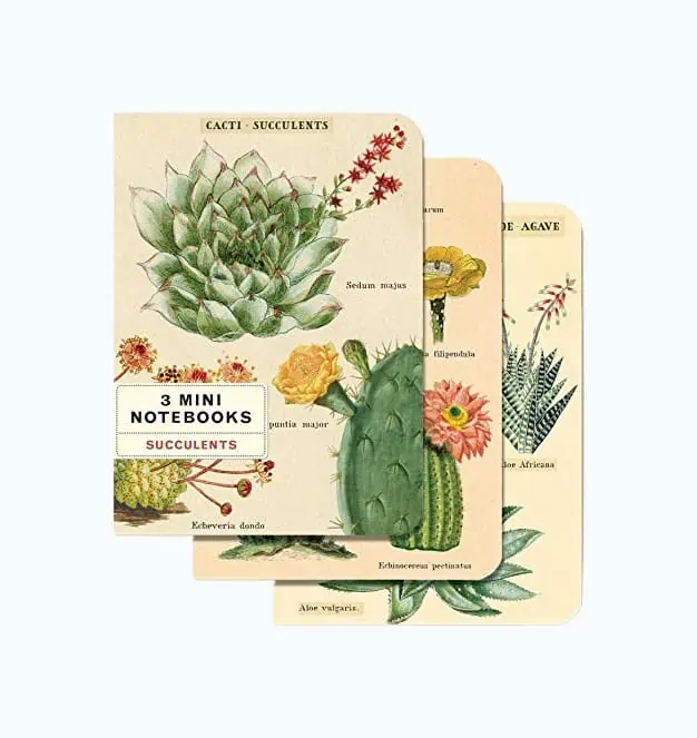 Product Image of the Succulents Mini Notebook