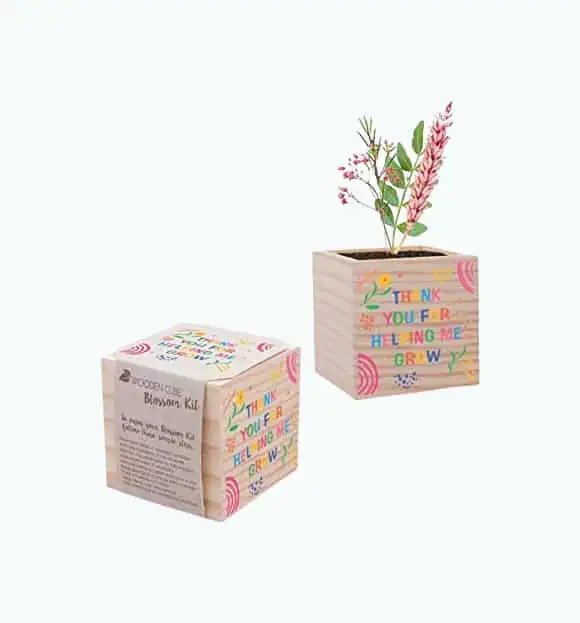 Product Image of the Teacher Wooden Planter
