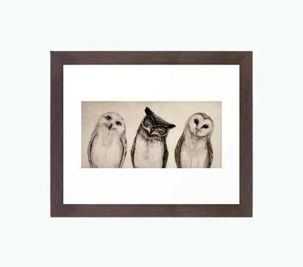 Product Image of the The Owl’s 3 Framed Art Print