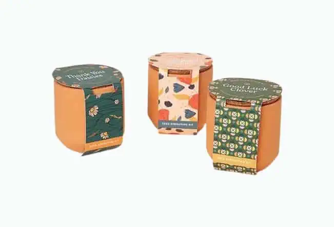 Product Image of the Thoughtful Terracotta Grow Kits