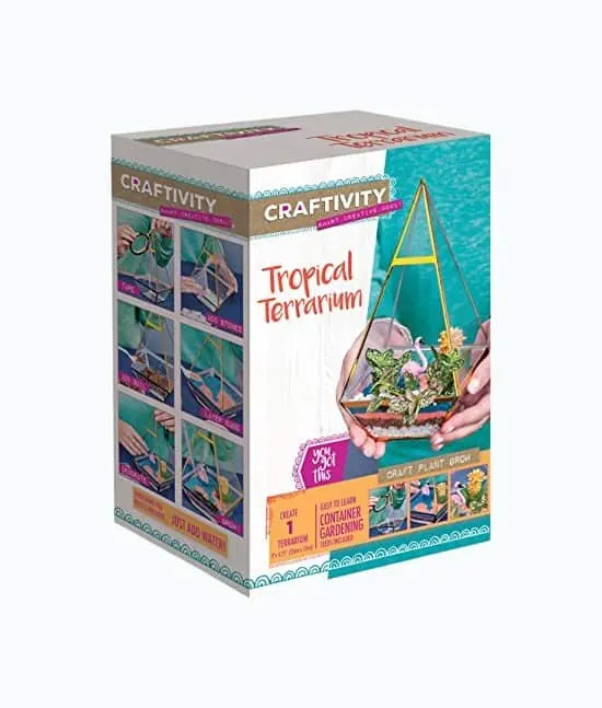 Product Image of the Tropical Terrarium Kit