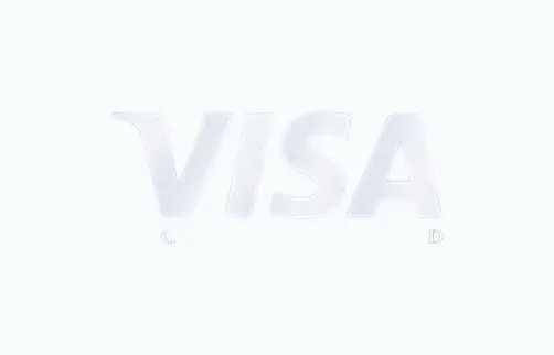 Product Image of the Visa Gift Card