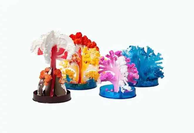 Product Image of the Volcano Island Crystal Growing Kit