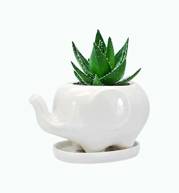 Product Image of the White Elephant Planter Pot