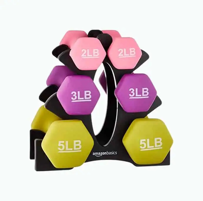 Product Image of the Workout Dumbbell Set