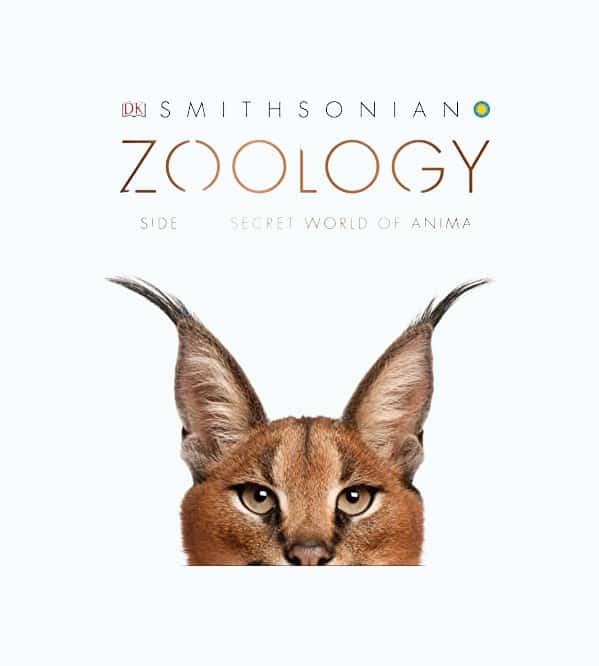 Product Image of the Zoology: Inside the Secret World of Animals